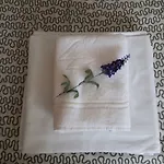 Appartamento Pirineo Aragonés