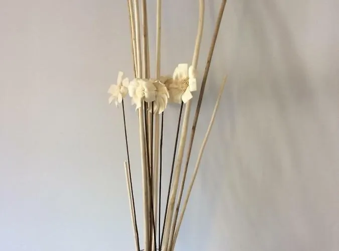 Apartment Pirineo Aragones